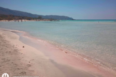 IMG_20240608_1133476712