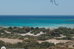 IMG_20240608_114928192