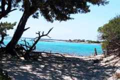 Messenger_creation_0311c35d-7e41-48e6-8714-0d01972de67e