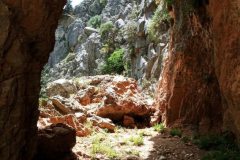 Messenger_creation_1bb48a41-5e4b-42f2-a4ec-f3f9b09a95f8