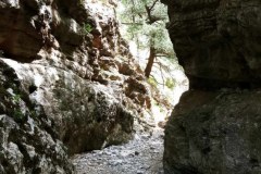 Messenger_creation_29b117b7-2f20-4c0b-a864-418afe9cf82d