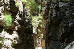 Messenger_creation_c424669d-039b-4fb3-b09b-98f6aba0fd29