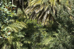 Messenger_creation_1DAFD35D-DD1F-4FFC-943A-25B1DBDC5BED