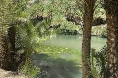 Messenger_creation_3551df1b-5840-406d-ac42-6cdade03d6a2