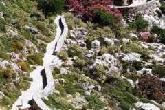 Messenger_creation_7f83b468-f2f6-43f0-b717-587d20e5f2ef