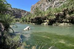 Messenger_creation_c59f46a9-c36c-45ae-b317-b32aaa665ebc