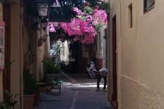 IMG_20240609_100948318