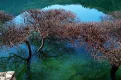 Messenger_creation_cc56c57a-f0ad-4ae7-8305-6ff51d5ef0ea